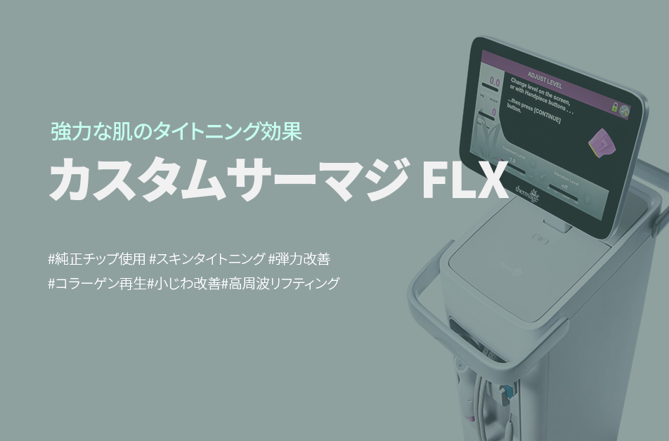 [4世代] カスタムサーマジ FLX